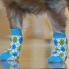 Non-Skid Dog Socks